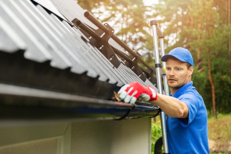 Gutter Cleaning Services