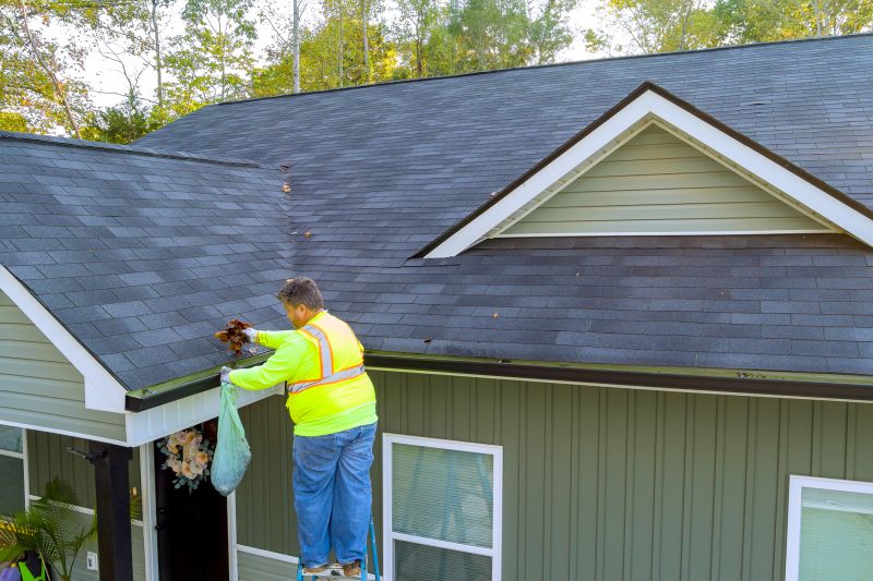 Roof and Gutter Maintenance Teams